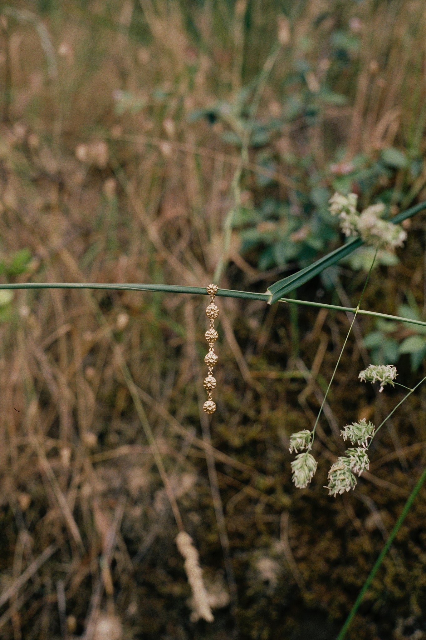 Trail Earrings - Gold Vermeil