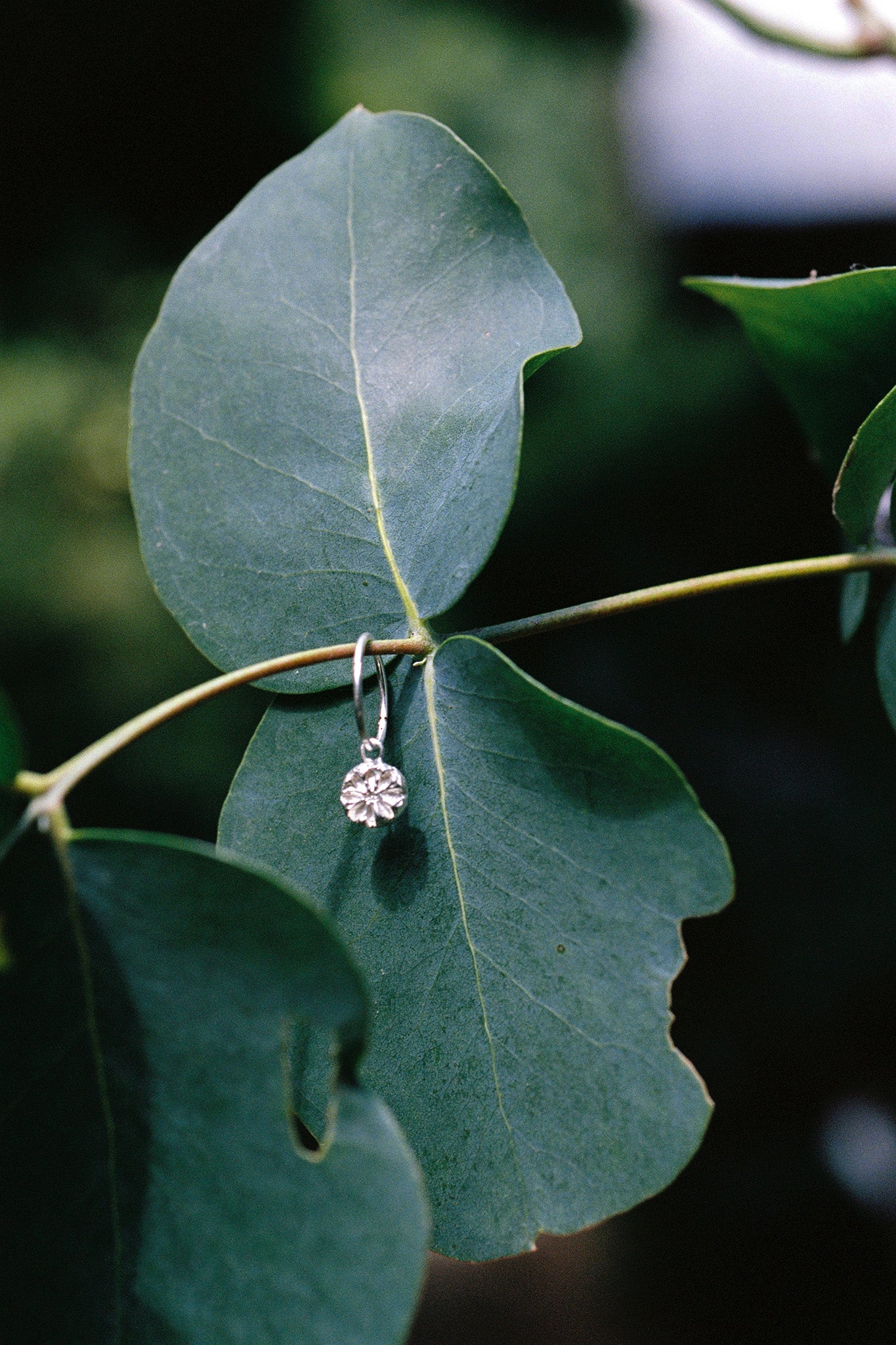 Quarry Sleepers - Sterling Silver