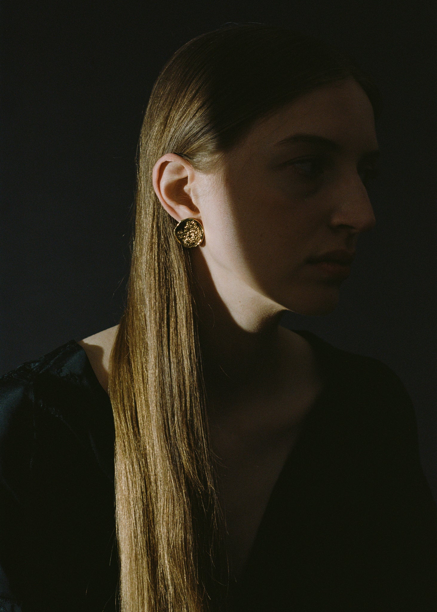 Field Disc Earrings - Gold Vermeil