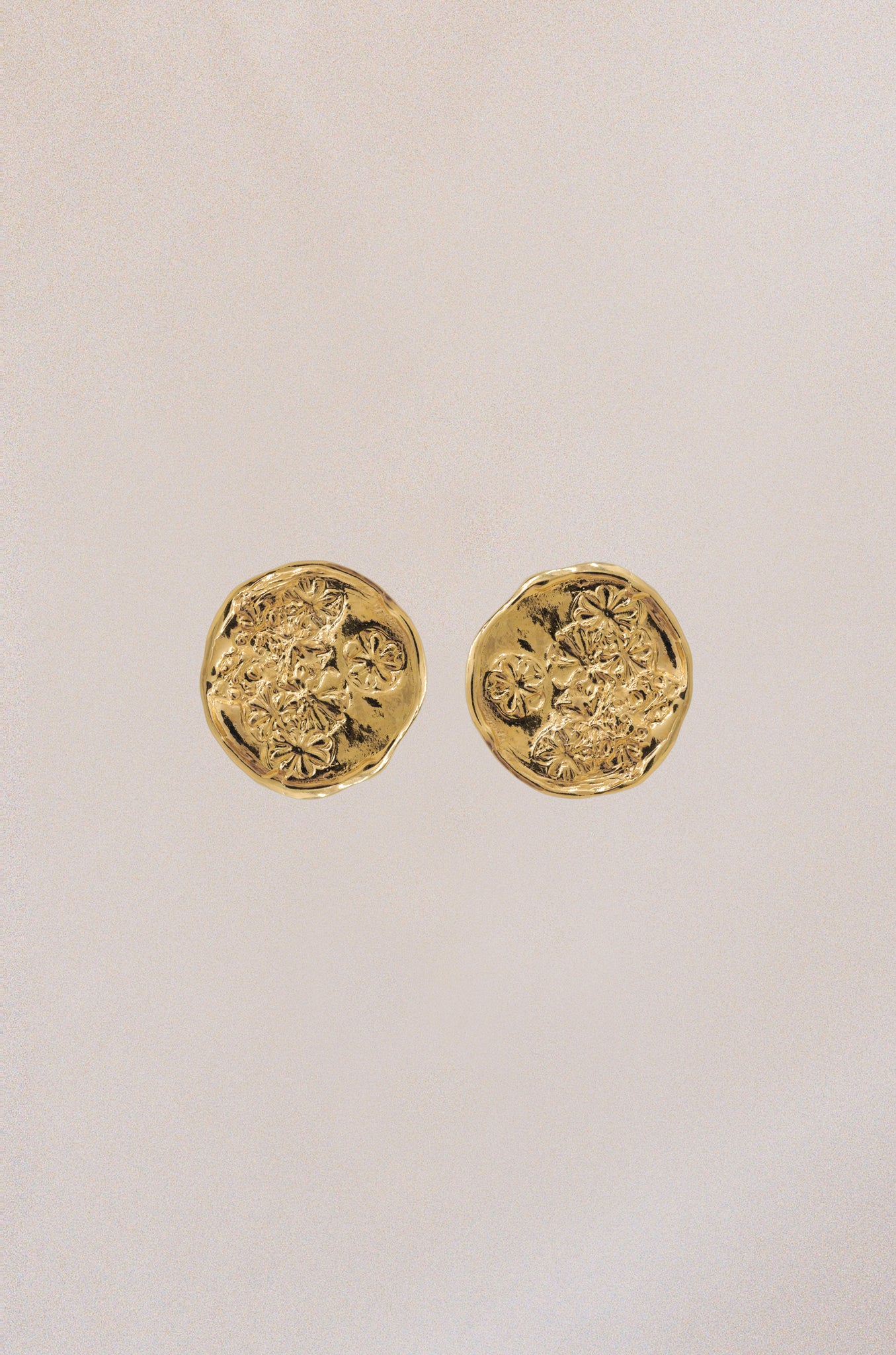 Field Disc Earrings - Gold Vermeil